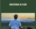 Breathing in Flow – C Wilson Meloncelli