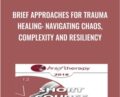 Brief Approaches for Trauma Healing-Navigating Chaos, Complexity and Resiliency – Ronald Alexander