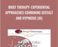 Brief Therapy: Experiential Approaches Combining Gestalt and Hypnosis (III) – Jeffrey Zeig & Erving Polster