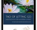 The Tao of Letting Go 6CDS – Bruce Frantzis