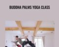 Buddha Palms Yoga Class – Dylan Werner
