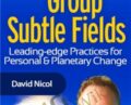 Building Group Subtle Fields – David Nicol