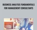 Business Analysis Fundamentals for Management Consultants – Asen Gyczew