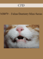 CPD – MS079 – Feline Dentistry Mini-Series