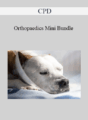 CPD – Orthopaedics Mini Bundle