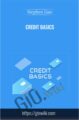 CREDIT BASICS – Stephen Liao