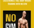 Calisthenics: full body weight training with NO GYM – Alex Genadinik
