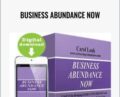 Business Abundance Now – Carol Look