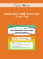 Cathy Stern – Improving Visual Processing at Any Age: Enhance Performance, Learning, & Therapeutic Success