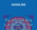Celestial Rose – Judy Satori & Jonathan Quintin