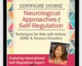 Certificate Course in Neurological Approaches for Self-Regulation: Techniques for Kids with Autism, ADHD, & Sensory Disorders – Varleisha D. Gibbs