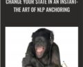 Change your state in an instant: The Art of NLP Anchoring – Matthew Barnett