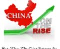China on the Rise Report – Maartin Armstrong