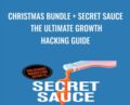 Christmas Bundle + Secret Sauce: The Ultimate Growth Hacking Guide – Vincent Dignan