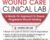 Chronic Wound Care Clinical Lab: A Hands-On Approach to Ensure Progressive Wound Healing – Cheryl Aaron