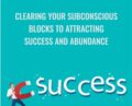 Clearing Your Subconscious Blocks to Attracting Success and Abundance – Carol Look
