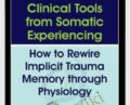 Clinical Tools from Somatic Experiencing: How to Rewire Implicit Trauma Memory through Physiology – Abi Blakeslee