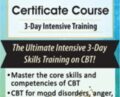 Cognitive Behavioral Therapy Certificate Course 3-Day Intensive Training – John Ludgate
