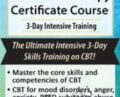 Cognitive Behavioral Therapy Certificate Course: Intensive Training – John Ludgate