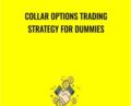 Collar Options Trading Strategy for Dummies – Saad T. Hameed