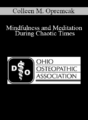 Colleen M. Opremcak – Mindfulness and Meditation During Chaotic Times