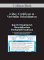 Colleen Sleik – 2-Day: Certificate in Vestibular Rehabilitation: A Lab-Based Course for Assessment, Clinical Decision-Making and Evidence-Based Treatment