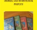 Colossal Cash in Commercial Property – Scott Scheel