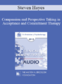 [Audio] EP13 Clinical Demonstration 13 – Compassion and Perspective Taking in Acceptance and Commitment Therapy (Video) – Steven Hayes, PhD