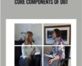 Core Components of DBT – Dialectical Behaviour Therapy