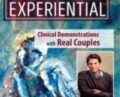 Couples Experiential 2017: NEW Live Clinical Demonstrations with Real Couples – Terry Real