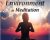 Creating the Inner Holding Environment in Meditation – Susan T. Morgan & Bill Morgan