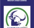 Master Stock Course – Cyber Trading University