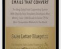 Ecomm Email Workshop – Danavir Sarria