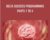 Delta Success Programming-Parts 1 to 4 – Dantalion Jones
