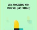 Data Processing with Logstash (and Filebeat) – Juhan Aasaru