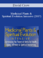 David Crow – Medicinal Plants & Spiritual Evolution Intensive (2017)