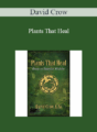 David Crow – Plants That Heal: Essays on Botanical Medicine