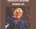 Therapeutic Metaphor Training LIVE – David Gordon