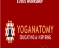 Lotus workshop – David Keil