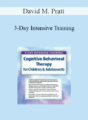 David M. Pratt – 3-Day Intensive Training: Cognitive Behavioral Therapy (CBT) for Children & Adolescents