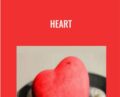 Heart – David Tian