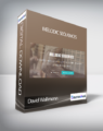 David Wallimann – MELODIC SEQUENCES