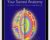 Your Sacred Anatomy: An Owners Guide To The Human Energy Structure – Desda Zuckerman