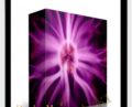 Develop Maximum Sexual Irresistibility Ver. 3.3.2 – Subliminal Shop