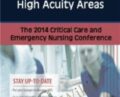 Developing Preceptors for High Acuity Areas – Robin Gilbert