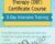 Dialectical Behavior Therapy (DBT) Certificate Course: 2-Day Intensive Training – Steven Girardeau