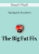 Donal O’Neill – The Big Fat Fix (2015)