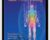 Energy Medicine: Basic 5-Day Training – Donna Eden with David Feinstein