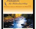Meditation The Feldenkrais Way – Donna Ray