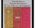 The Scientific Chart Of Germanic New Medicine – Ryke Geer Hamer